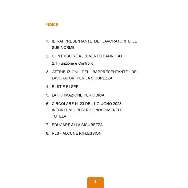 IL RAPPRESENTANTE DEI LAVORATORI PER LA SICUREZZA - immagine 2
