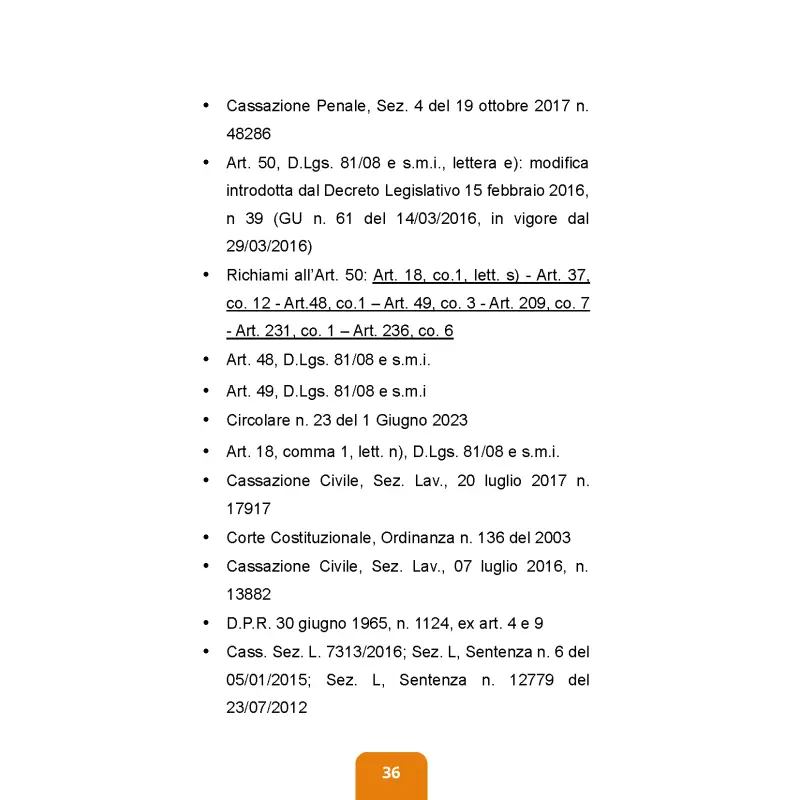 IL RAPPRESENTANTE DEI LAVORATORI PER LA SICUREZZA - immagine 4