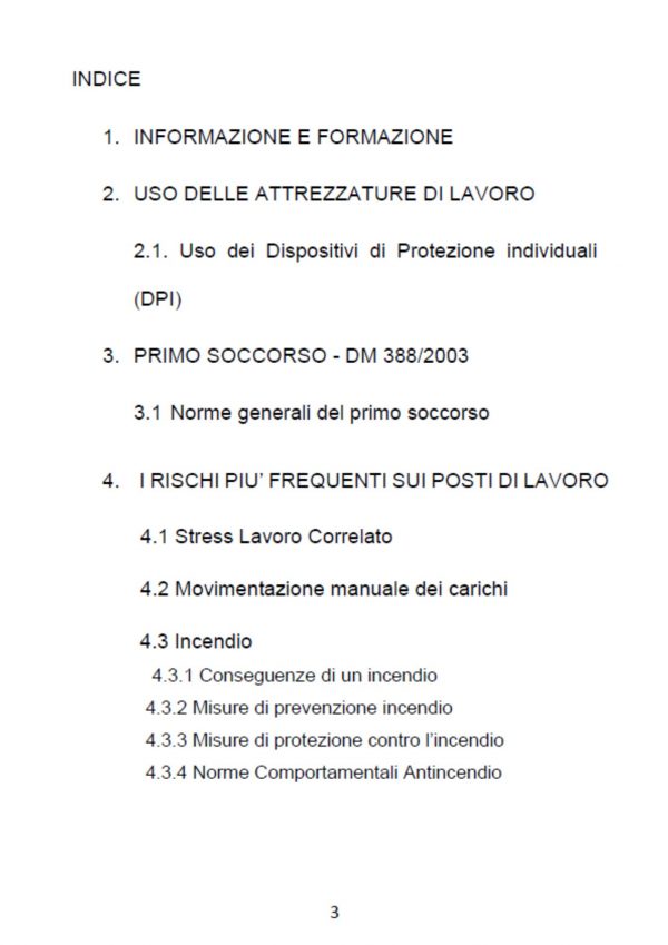 DISPOSITIVI DI PROTEZIONE INDIVIDUALE, ATTREZZATURE E SEGNALETICA - immagine 2