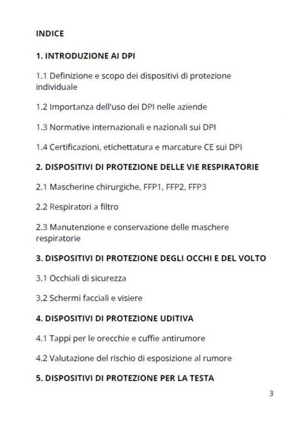 DISPOSITIVI DI PROTEZIONE INDIVIDUALE - immagine 2