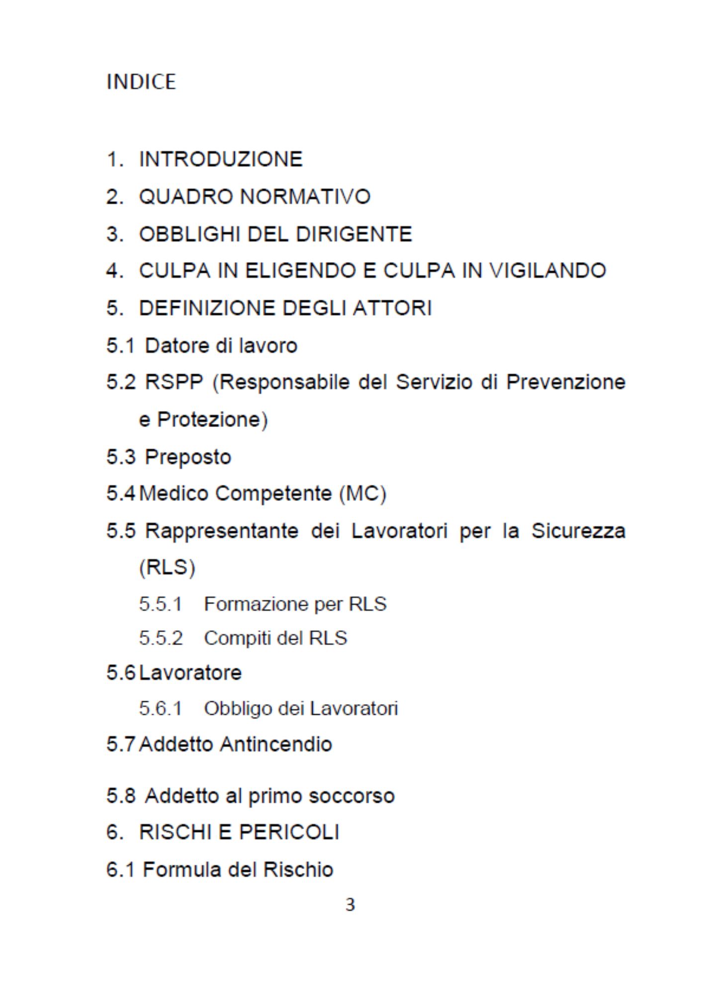 IL DIRIGENTE DELLA SICUREZZA - immagine 2